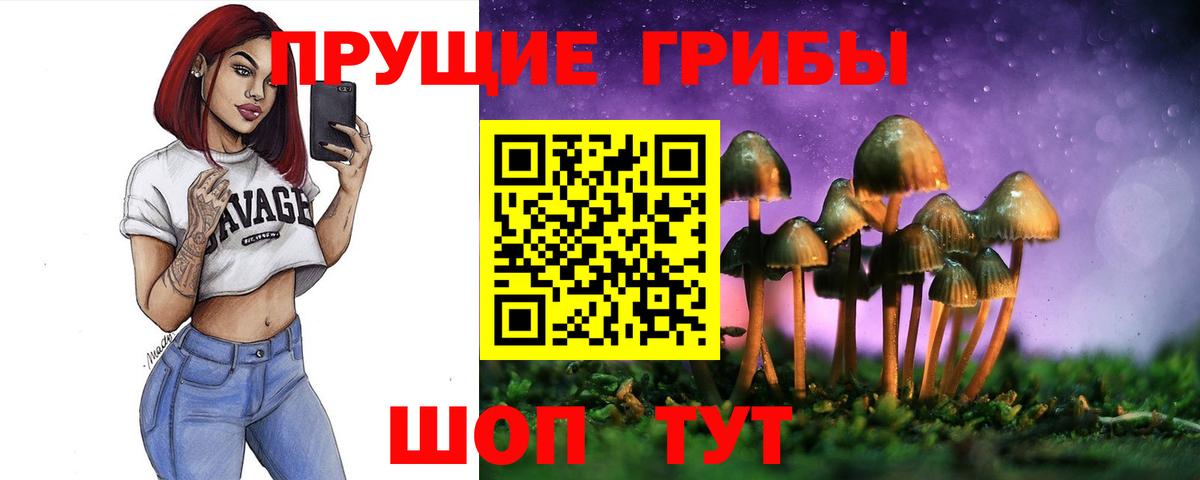 Псилоцибиновые грибы Psilocybine cubensis Старая Купавна