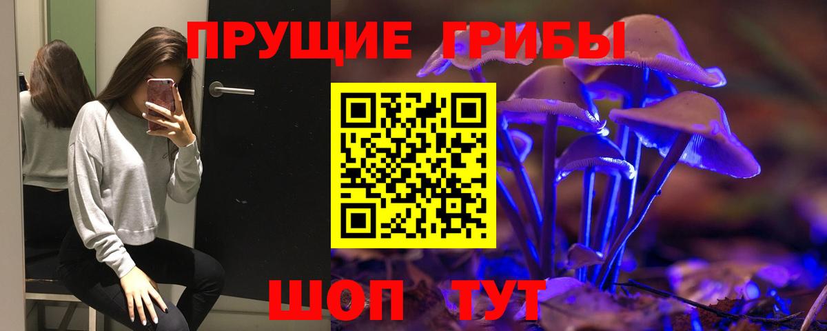 купить   Вход с VPN  Старая Купавна  Псилоцибиновые грибы Cubensis  Псилоцибиновые грибы Cubensis 
